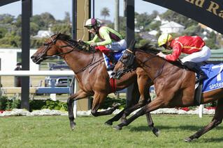 Julius (NZ) (Swice Ace) aims for the second leg of the NZB Insurance Sprint Triple Crown.